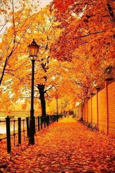 b27aeb40229aa7ee460671bd02c32ec2.jpg 方案配图,色彩意境,橙色,