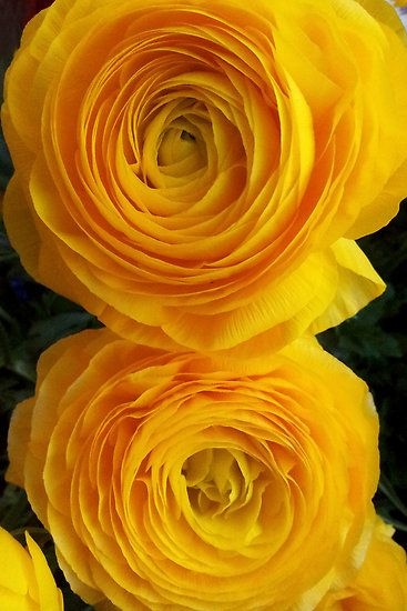 0caaede1deb4ed6a847d876429dac3bd.jpg 方案配图,色彩意境,黄色,