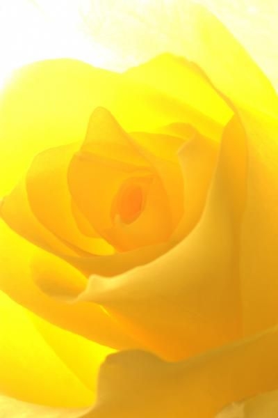 8db68e6691a18f873ceac250c7ee8f71.jpg 方案配图,色彩意境,黄色,