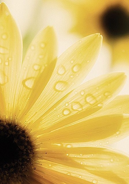 9b3e3f2507e898f61e60a7f89ab90b22.jpg 方案配图,色彩意境,黄色,