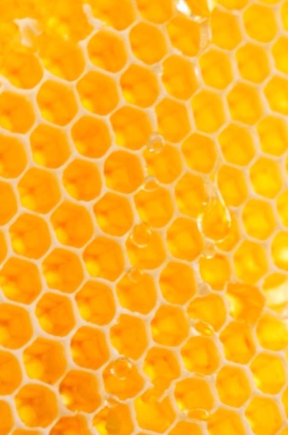 121fe7d054bfc8073b425bff24d726b1.jpg 方案配图,色彩意境,黄色,