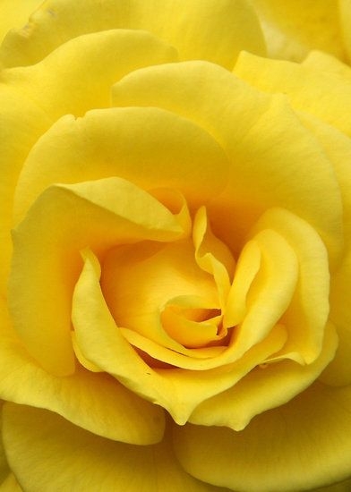 452bd75f534f365ddfa3bf1e3b426f73.jpg 方案配图,色彩意境,黄色,