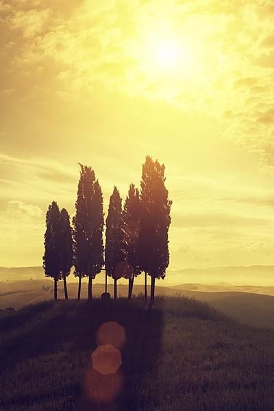 566c71590a24d6d5a4d4f5118360035f.jpg 方案配图,色彩意境,黄色,