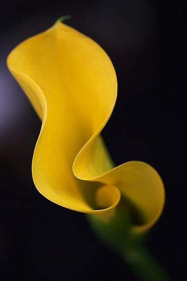 991d9ab33f1a717647985173643e0f17.jpg 方案配图,色彩意境,黄色,