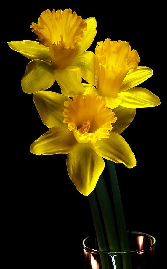 4926fca729156fb1bfdb8cccdb1b0488.jpg 方案配图,色彩意境,黄色,