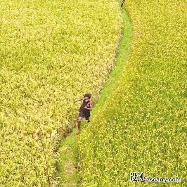 20583299_441671362878171_4892374088409939968_n.jpg 方案配图,色彩意境,黄色,