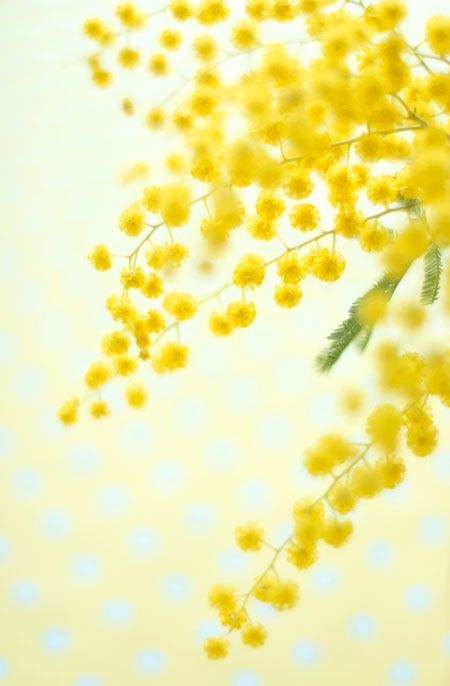 b72f82b02eaa364ae8368bf7b77e182e.jpg 方案配图,色彩意境,黄色,