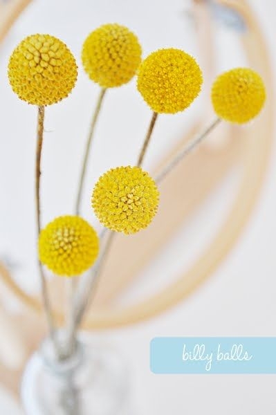 f2675a27e757512cade9c670ad19f2bd.jpg 方案配图,色彩意境,黄色,