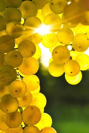 f20096a70fc60155f56da4de0d57c2e2.jpg 方案配图,色彩意境,黄色,