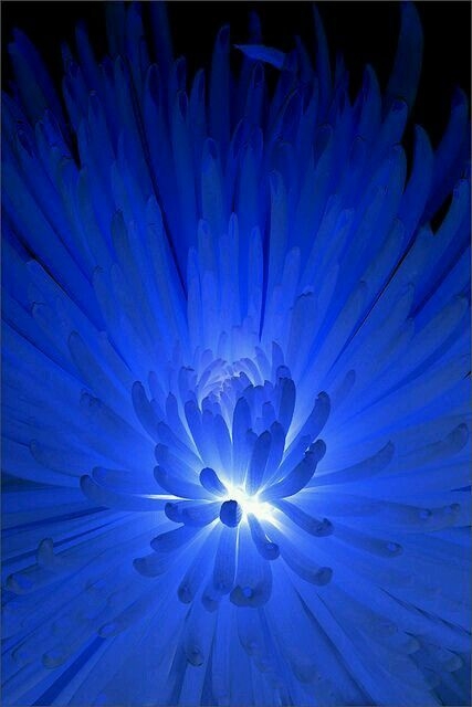 0a9de2ec173ffe2a3a2b7a43571a97d7.jpg 方案配图,色彩意境,蓝色,