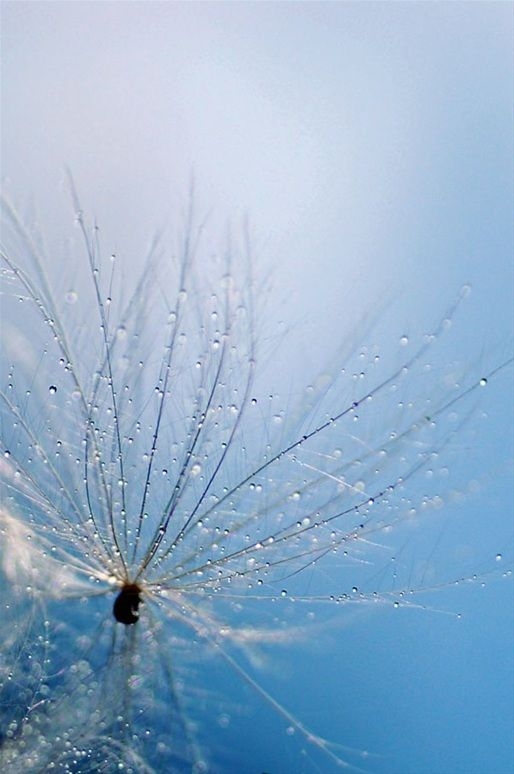 2d34fe37afaaf3c4357271878102aef9.jpg 方案配图,色彩意境,蓝色,