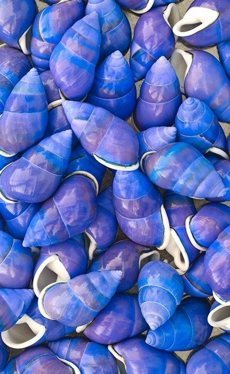 4a40ae1bcde3bf1dadb161d310ffdcfc.jpg 方案配图,色彩意境,蓝色,