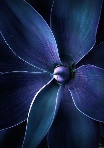 5c089298e7060a5163ebe1885f3c862d.jpg 方案配图,色彩意境,蓝色,