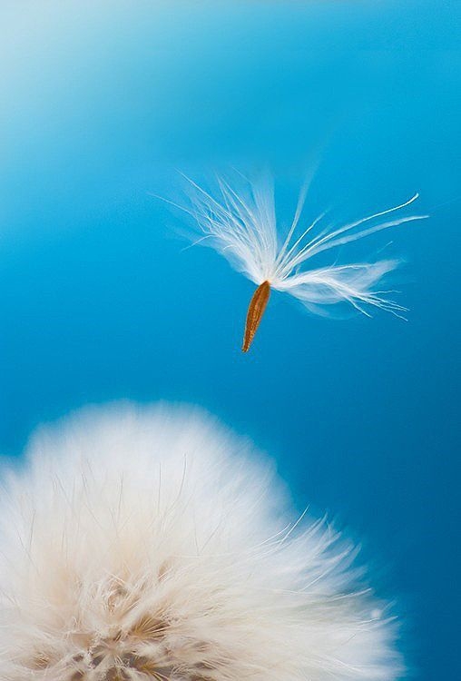 7a28d11c078b062f558075f595de3d6d.jpg 方案配图,色彩意境,蓝色,