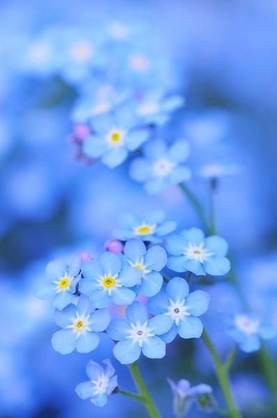 7bd0271cf898be30adb10c697df4cd3e.jpg 方案配图,色彩意境,蓝色,