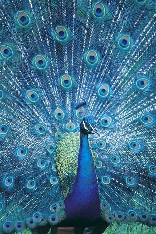 8e1ede4b4225d5597d06d207a62d5cbd.jpg 方案配图,色彩意境,蓝色,