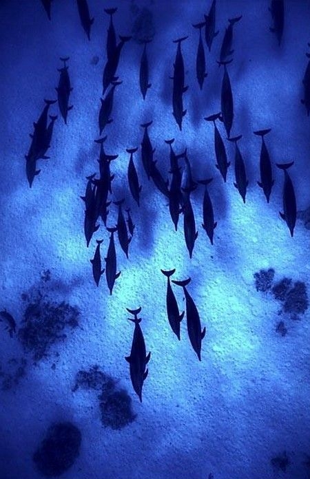 8e48a3cec0a99bfc1289c245dec68ea7.jpg 方案配图,色彩意境,蓝色,