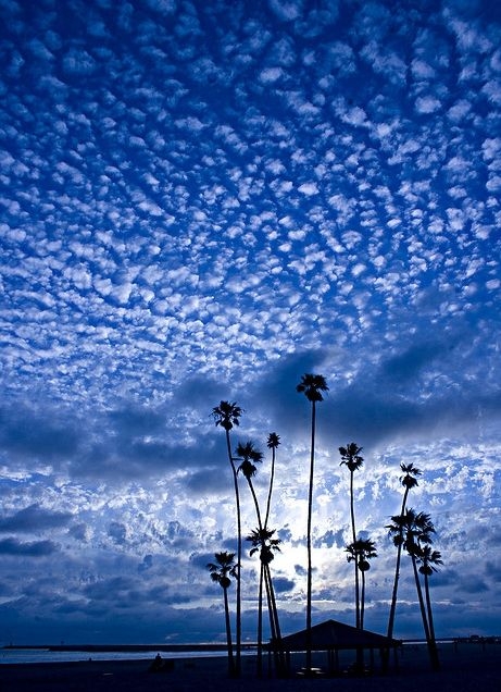 9bb4349c2941e693b72ce300bb1e4239.jpg 方案配图,色彩意境,蓝色,