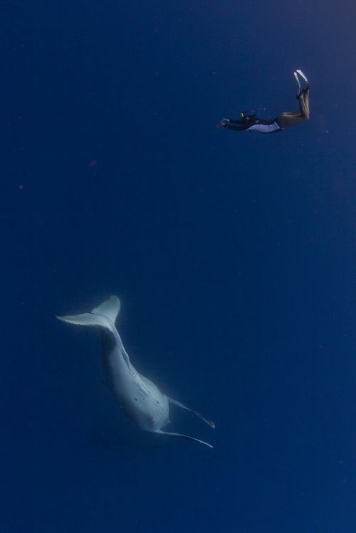 32c3d3cfbfe225bb8f7ed2c42444bff0.jpg 方案配图,色彩意境,蓝色,