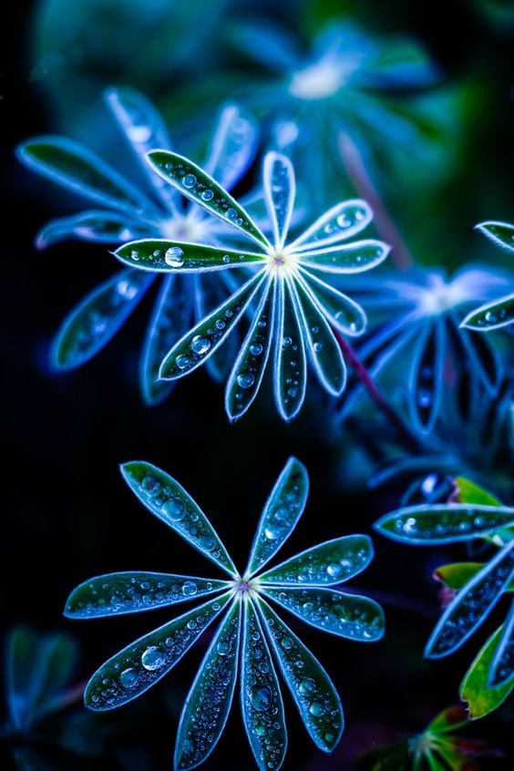 73a761143c505eb5c42b962d18ed0ac8.jpg 方案配图,色彩意境,蓝色,