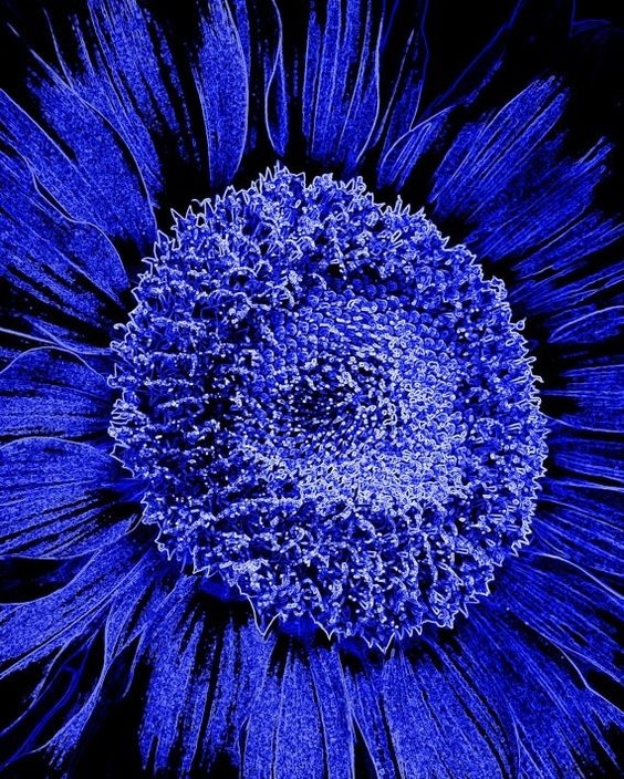 271e064c59eb5163715d18be6dc4947b.jpg 方案配图,色彩意境,蓝色,