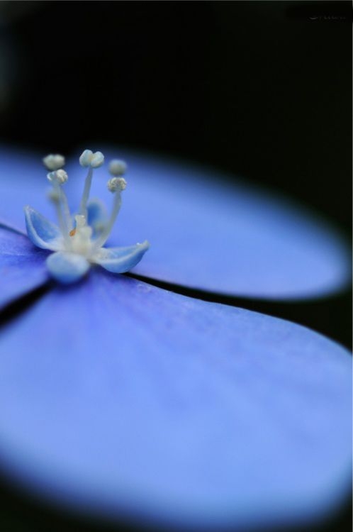 83143ef844251c16255f5c42de670b64.jpg 方案配图,色彩意境,蓝色,