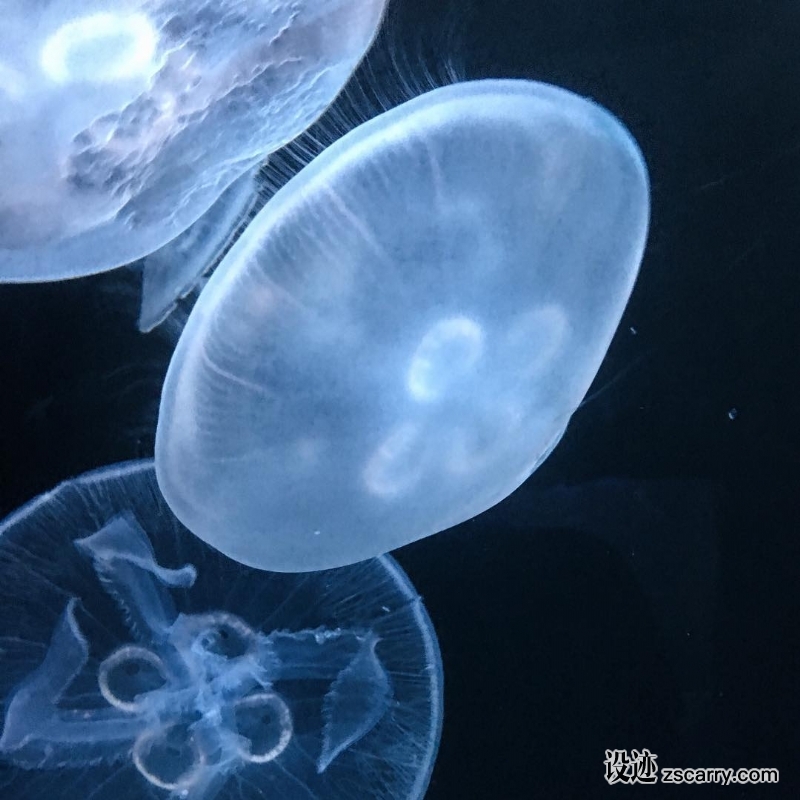 17077353_1347915808563105_4265552529573543936_n.jpg 方案配图,色彩意境,蓝色,