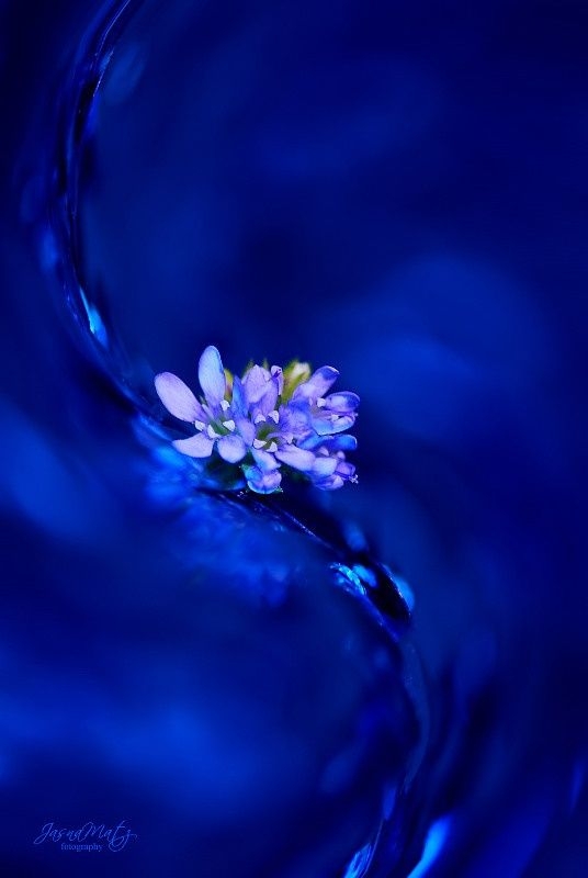 a9f39ac3edb291a275437318142a9e83.jpg 方案配图,色彩意境,蓝色,