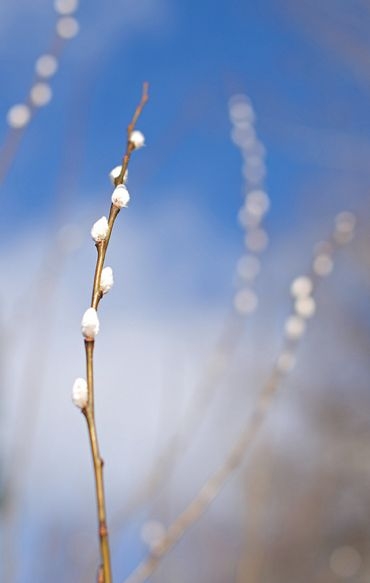 a91e435901a9a79e5edee7ad6707ac50.jpg 方案配图,色彩意境,蓝色,