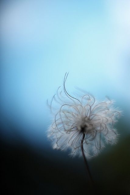 a614a4c12bbd2d7ca66b8be2d4d2272a.jpg 方案配图,色彩意境,蓝色,