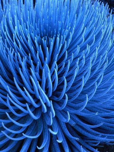 a33629c27be00ac034bff7f9a25ae3c3.jpg 方案配图,色彩意境,蓝色,