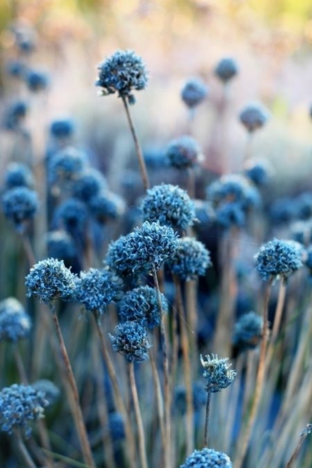 b218e04e72e1abf76717876017b726e4.jpg 方案配图,色彩意境,蓝色,