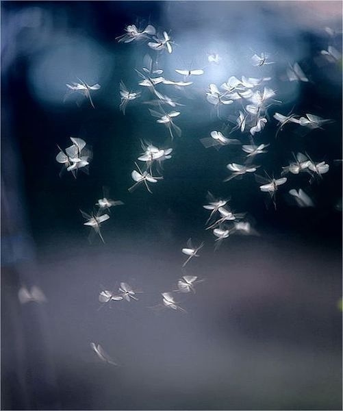 c6f4531bc99e6a626854475456c56259.jpg 方案配图,色彩意境,蓝色,