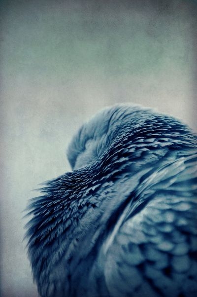 d72a20eade3b982e0715f235768a7b7a.jpg 方案配图,色彩意境,蓝色,