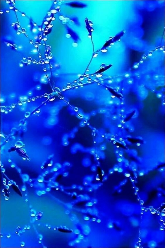 ec9bdffdc974e7a92dfac24304182f2e.jpg 方案配图,色彩意境,蓝色,