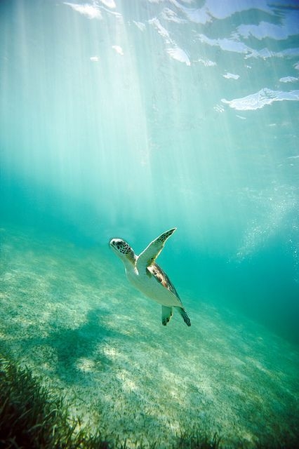 eff425903f8d6745ed8f1df1128377f6.jpg 方案配图,色彩意境,蓝色,