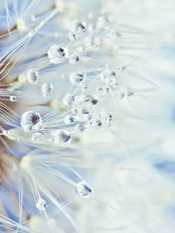 f95a11662ba9f6b7a55a8ef08fa0f5ee.jpg 方案配图,色彩意境,蓝色,