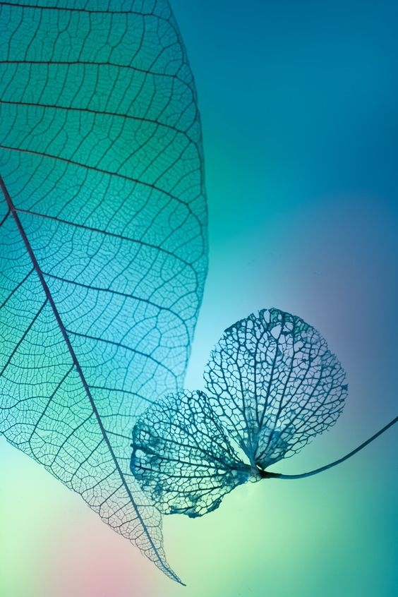 fba99840e134e642f83aa4d5952340ec.jpg 方案配图,色彩意境,蓝色,