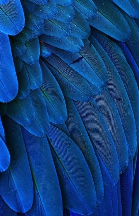 fd2cc4227b78f73e50ed9b291dc579a7.jpg 方案配图,色彩意境,蓝色,