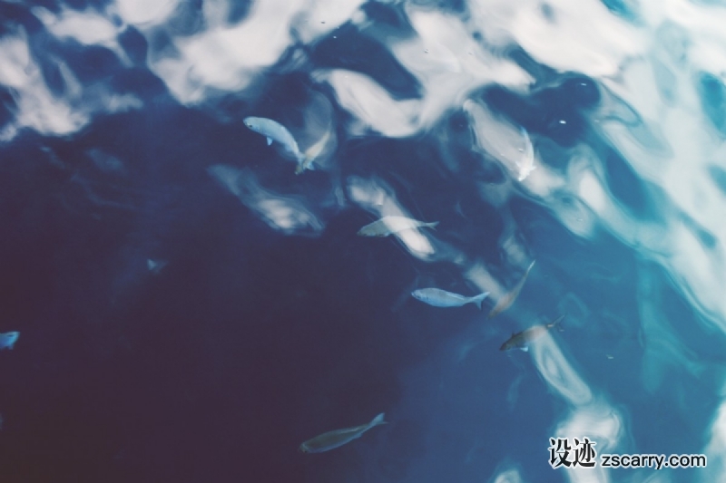 fish_pond_water_reflection_ripple-1951.jpg 方案配图,色彩意境,蓝色,