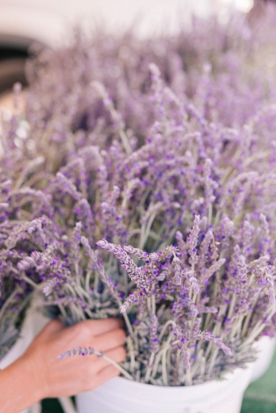 04a3ffa3e173c00fd2ed4560baa6b4ea.jpg 方案配图,色彩意境,紫色,