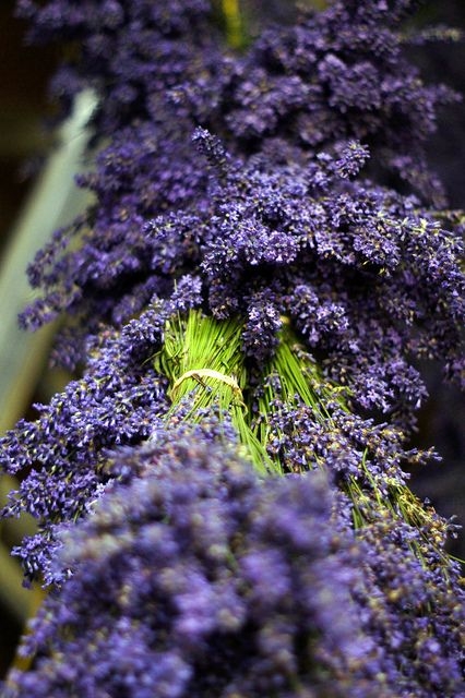 5bccf1364b2854b6e2f3ab09825905c3.jpg 方案配图,色彩意境,紫色,