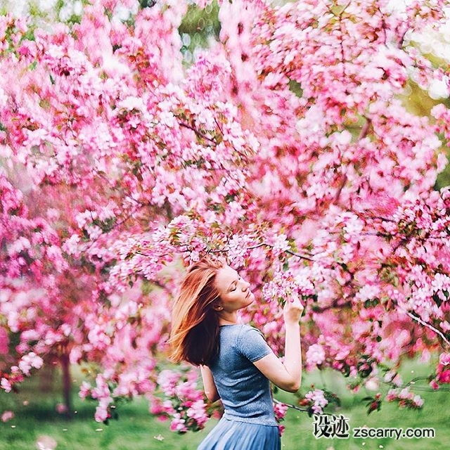 13706847_1068940619864308_1058038123_n.jpg 方案配图,色彩意境,紫色,