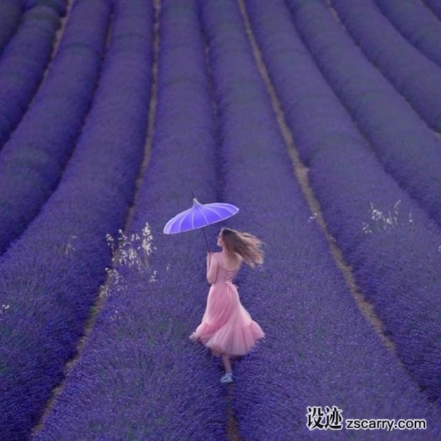 19931666_148729745693724_6285748967716159488_n.jpg 方案配图,色彩意境,紫色,
