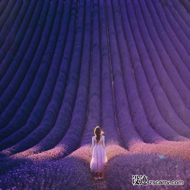 19931826_251947751974728_1465144409887604736_n.jpg 方案配图,色彩意境,紫色,