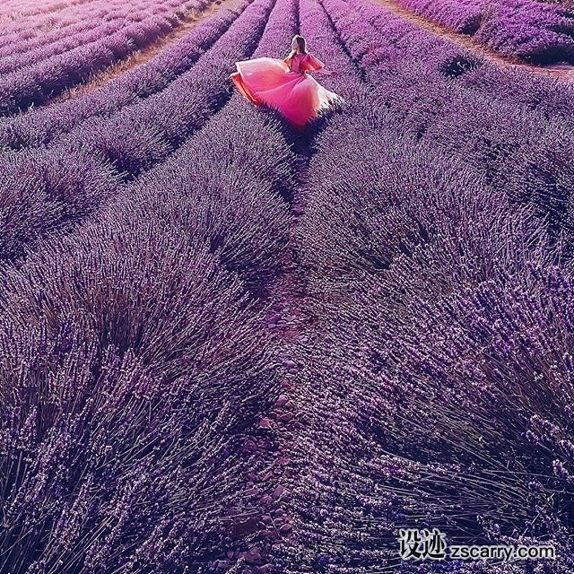 20213956_471467386546459_1798223208206303232_n.jpg 方案配图,色彩意境,紫色,
