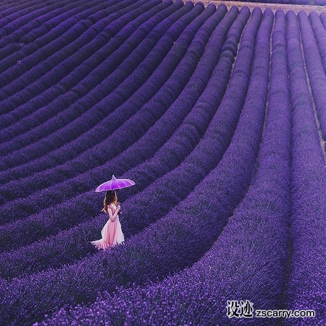 20582978_155283531714045_3829361290283843584_n.jpg 方案配图,色彩意境,紫色,