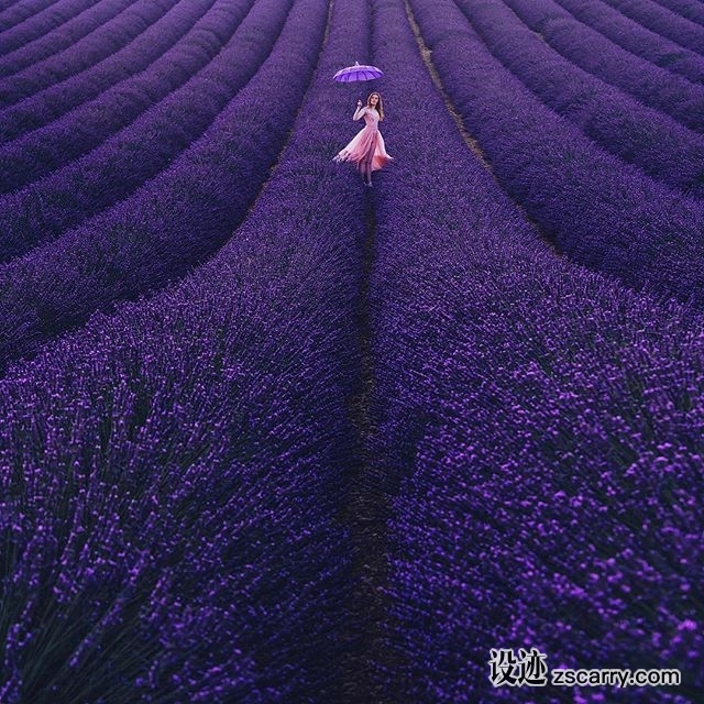 26073250_1919862094995914_1907978524770172928_n.jpg 方案配图,色彩意境,紫色,