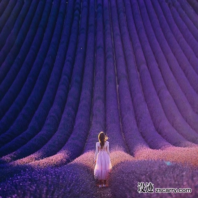 29095509_160924994600241_4577478979031662592_n.jpg 方案配图,色彩意境,紫色,