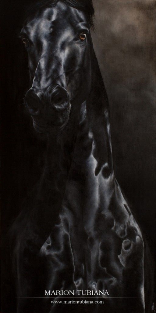 988f136912a7f43bf5feba28a860e35a.jpg 方案配图,色彩意境,黑色,